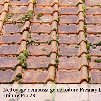 Nettoyage demoussage de toiture  fresnay-le-comte-28360 Toiture Pro 28