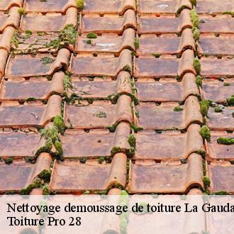 Nettoyage demoussage de toiture  la-gaudaine-28400 Toiture Pro 28