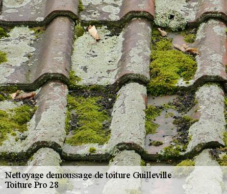 Nettoyage demoussage de toiture  guilleville-28310 Toiture Pro 28