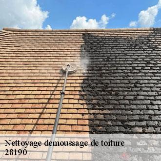 Nettoyage demoussage de toiture landelles-28190 Toiture Pro 28