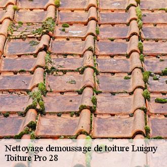 Nettoyage demoussage de toiture luigny-28420 Toiture Pro 28