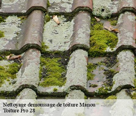 Nettoyage demoussage de toiture  manou-28240 Toiture Pro 28