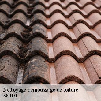 Nettoyage demoussage de toiture mervilliers-28310 Toiture Pro 28