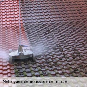 Nettoyage demoussage de toiture  neuvy-en-dunois-28800 Toiture Pro 28