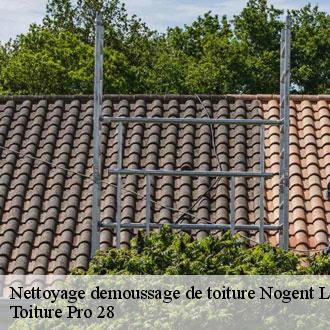 Nettoyage demoussage de toiture  nogent-le-roi-28210 Toiture Pro 28
