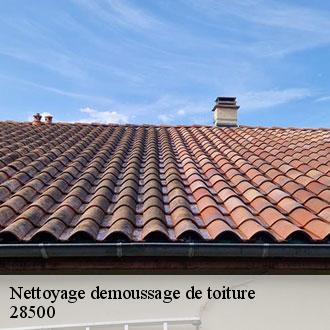 Nettoyage demoussage de toiture  ouerre-28500 Toiture Pro 28
