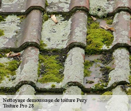 Nettoyage demoussage de toiture  pezy-28150 Toiture Pro 28
