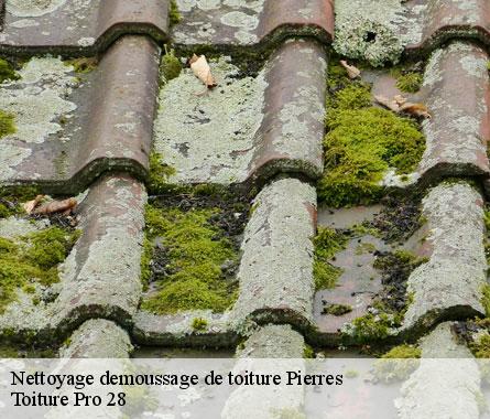 Nettoyage demoussage de toiture pierres-28130 Toiture Pro 28