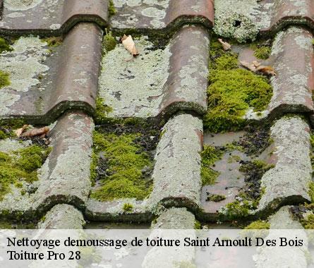 Nettoyage demoussage de toiture  saint-arnoult-des-bois-28190 Toiture Pro 28