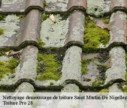 Nettoyage demoussage de toiture  saint-martin-de-nigelles-28130 Toiture Pro 28