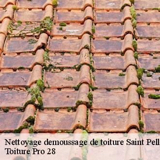 Nettoyage demoussage de toiture  saint-pellerin-28290 Toiture Pro 28