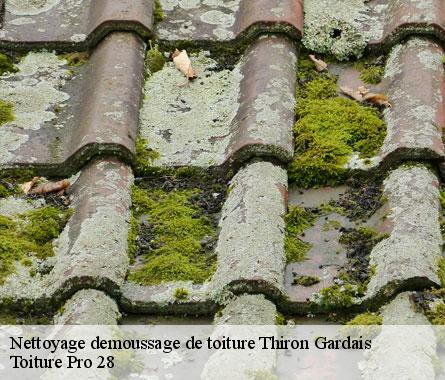 Nettoyage demoussage de toiture  thiron-gardais-28480 Toiture Pro 28