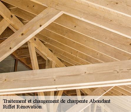 Traitement et changement de charpente  abondant-28570 Riffet Rénovation