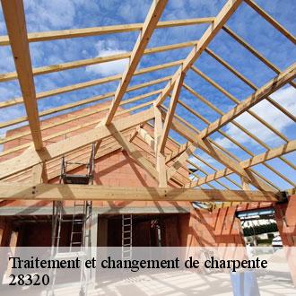 Traitement et changement de charpente  bailleau-armenonville-28320 Toiture Pro 28
