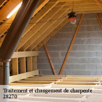 Traitement et changement de charpente  brezolles-28270 Toiture Pro 28