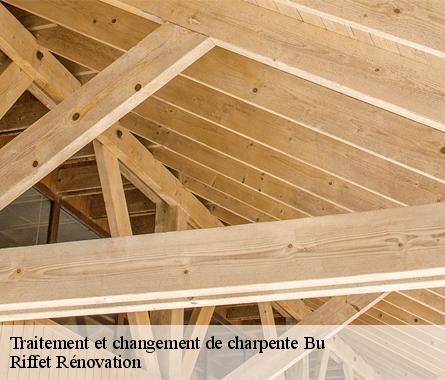 Traitement et changement de charpente  bu-28410 Riffet Rénovation