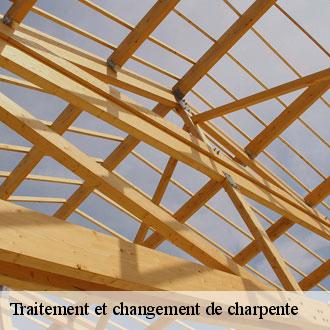 Traitement et changement de charpente  bullainville-28800 Toiture Pro 28