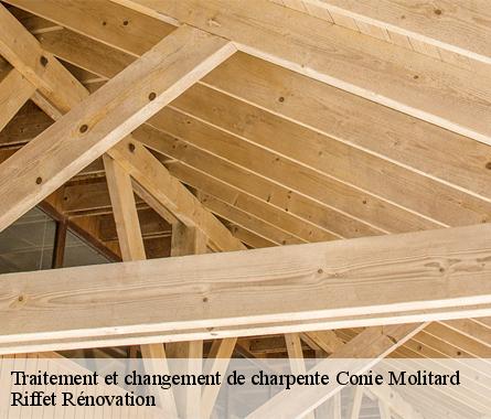 Traitement et changement de charpente  conie-molitard-28200 Riffet Rénovation