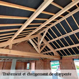 Traitement et changement de charpente  lormaye-28210 Toiture Pro 28