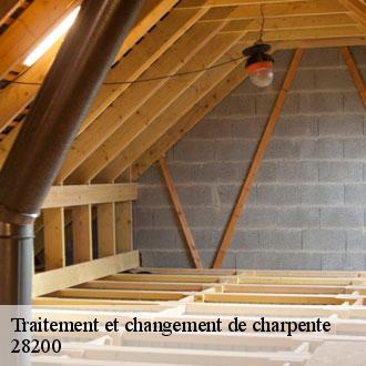 Traitement et changement de charpente ozoir-le-breuil-28200 Toiture Pro 28