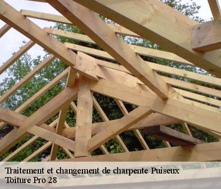 Traitement et changement de charpente  puiseux-28170 Toiture Pro 28