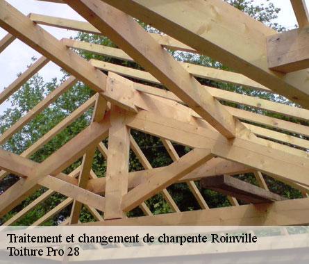 Traitement et changement de charpente  roinville-28700 Toiture Pro 28