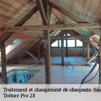 Traitement et changement de charpente  saint-cloud-en-dunois-28200 Toiture Pro 28