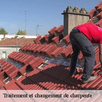 Traitement et changement de charpente  trizay-les-bonneval-28800 Toiture Pro 28