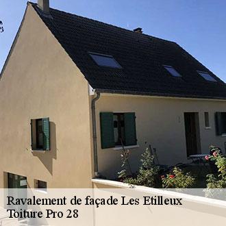Ravalement de façade  les-etilleux-28330 Toiture Pro 28