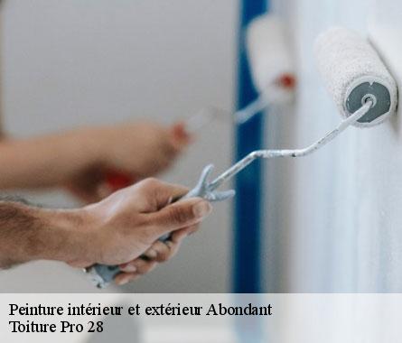 Peinture intérieur et extérieur  abondant-28570 Toiture Pro 28