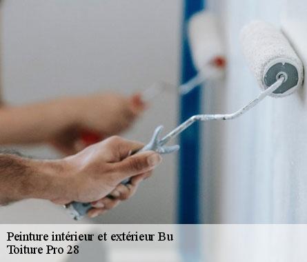Peinture intérieur et extérieur  bu-28410 Toiture Pro 28