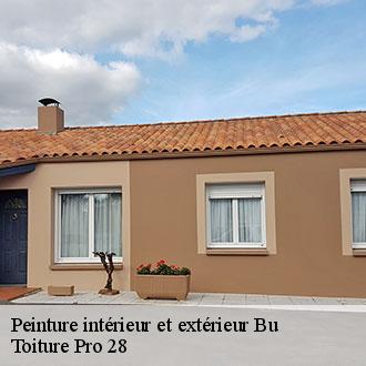 Peinture intérieur et extérieur  bu-28410 Toiture Pro 28
