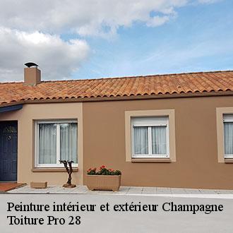 Peinture intérieur et extérieur champagne-28410 Toiture Pro 28