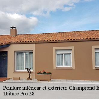 Peinture intérieur et extérieur champrond-en-perchet-28400 Toiture Pro 28