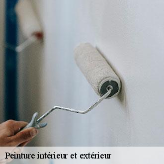 Peinture intérieur et extérieur coulombs-28210 Toiture Pro 28