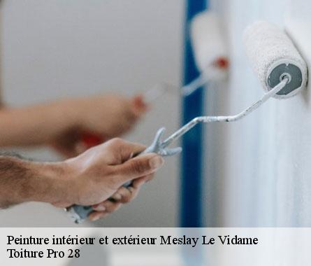 Peinture intérieur et extérieur  meslay-le-vidame-28360 Toiture Pro 28
