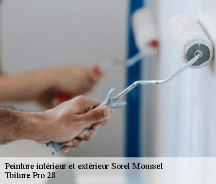 Peinture intérieur et extérieur sorel-moussel-28520 Toiture Pro 28