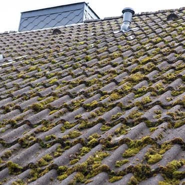 Démoussage de toiture 28 Eure-et-Loir